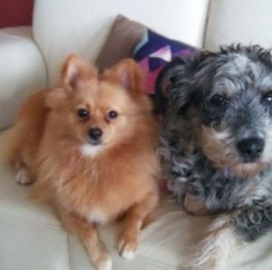 Meet your Posher, Leanne